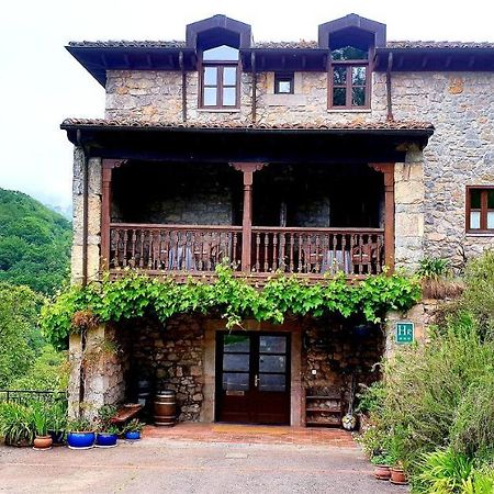 Hotel Posada Del Valle Collía Eksteriør billede